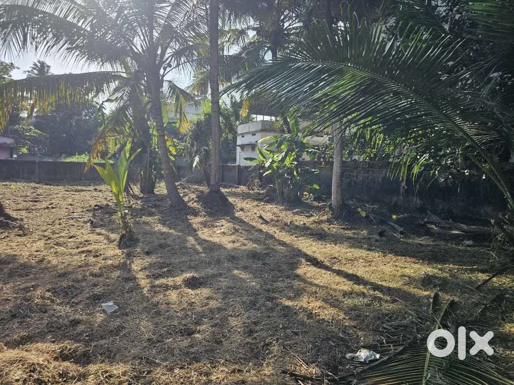 16 Cent Residencial House Plot For Sale Chalikkavattom Near Vyttila.