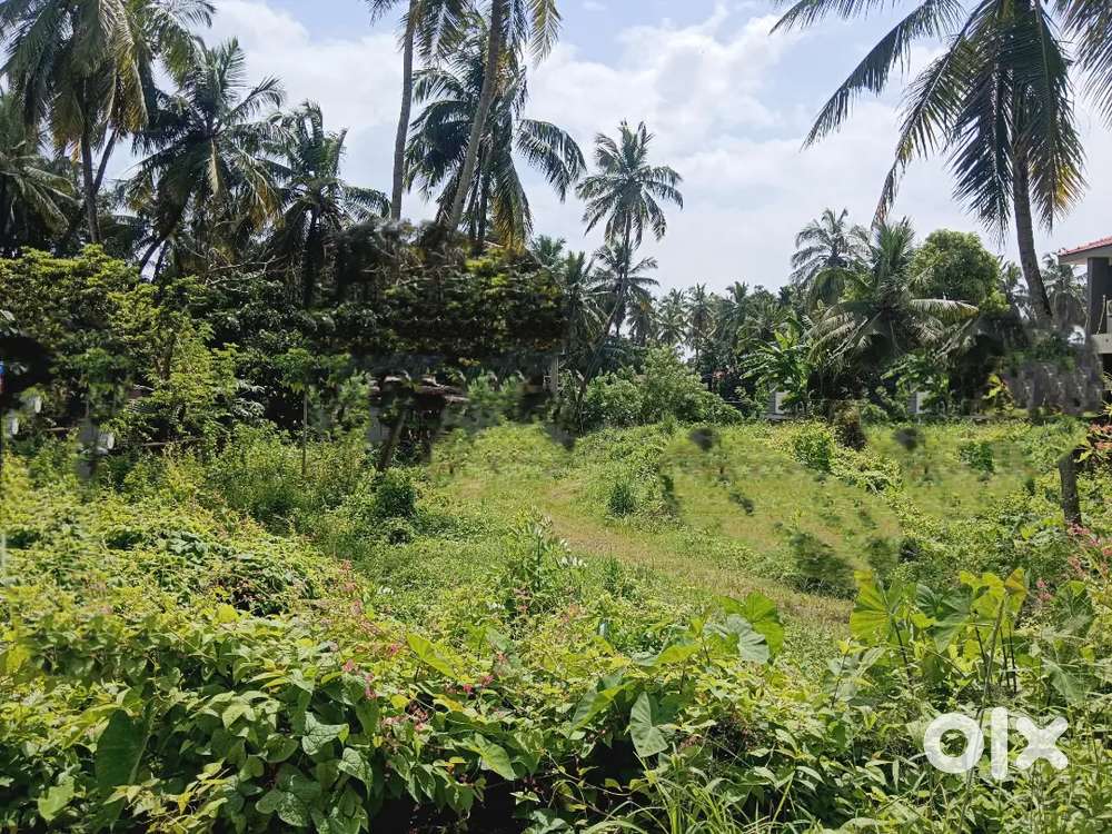 15 cents land near nandigudda circle Mangalore Karnataka