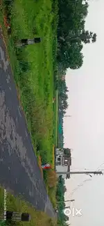১১ কাঠা আছে