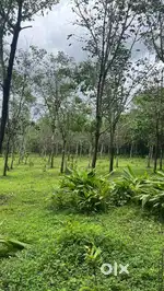 8 Acres of Land Belthangady, Mangalore, Dakshina Kannada , Karnataka
