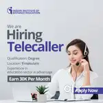 Business Development Executive
