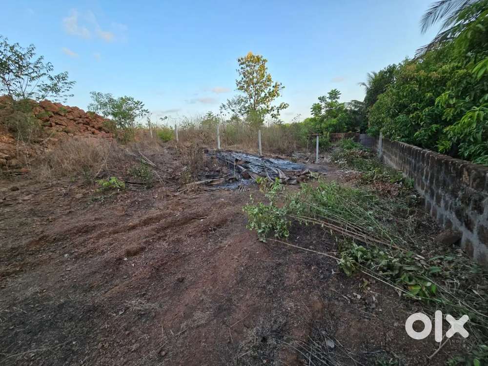 Excellent Plot for sale in Dhargal