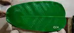 Banana leafs for decoration