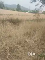 Land for home