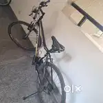 Fantom Cycle