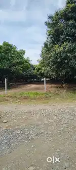 Residential Plots 11,000 sq/yards.price negotiate