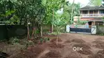 10 cents land Chettupuzha