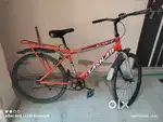 For sell cycle sunburn