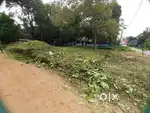 11Cent Main Road frontage Plot
