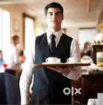Steward Waiter coooook