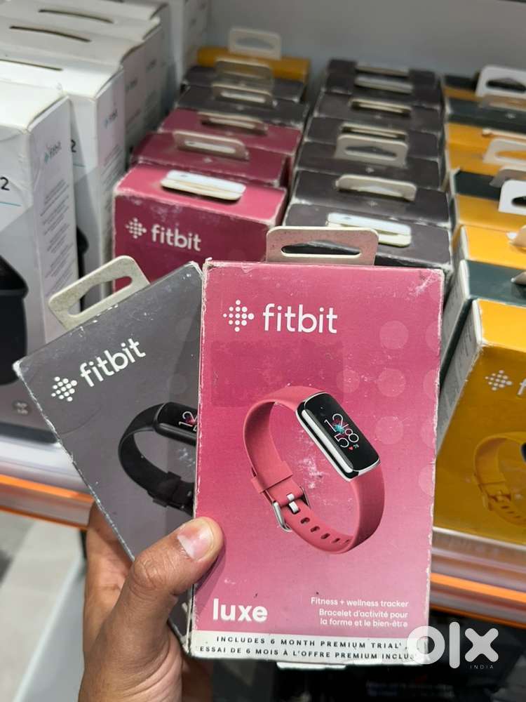 Fitbit Luxe - Stainless Steel Band