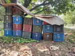 53 kanal Land for sale at Vill Bhapoo