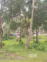 Palath - Pullaloor Main Road Side 40 Cent