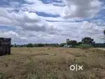 Very Very low budget investment land