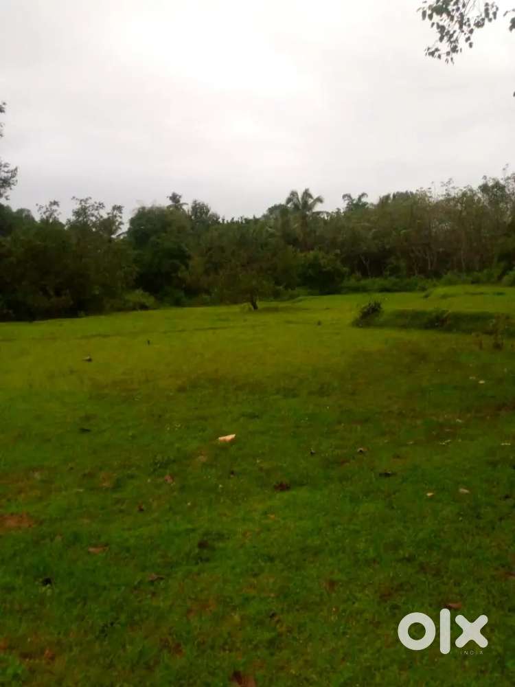 Best place water place and have 1acres kunki near by perdoor