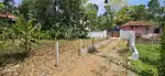Mc road kuttur 200 m distance 10 cent house plot for sale