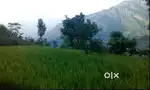 50*50 Roadside land for sale at chalamthang South sikkim