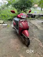 Pleasure Red