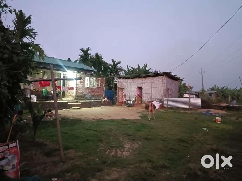 For sell house and land