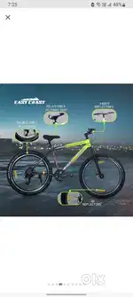 Ct company cycle