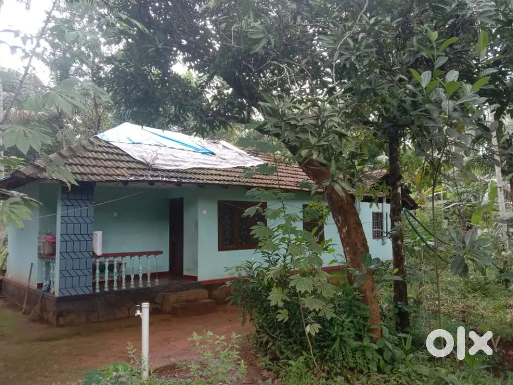 Small house along with 22 cent near kmct hospital manassery for sale