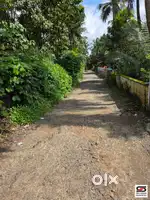 Farmland for sale near Pattambi, Palakkad