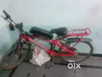 Electric cycle