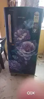 Fridge single door