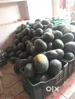 Working fruits wholesale shop at BERHAMPUR, GANJAM ,ODISHA