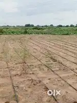 1 Acre Land for Sale at Solipet (V) Shabad (M) Price Rs. 89 Lakhs.