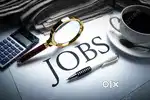 Data entry operator