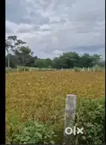 1.30 Acre Agricultural Land for Sale – Doddaballapura