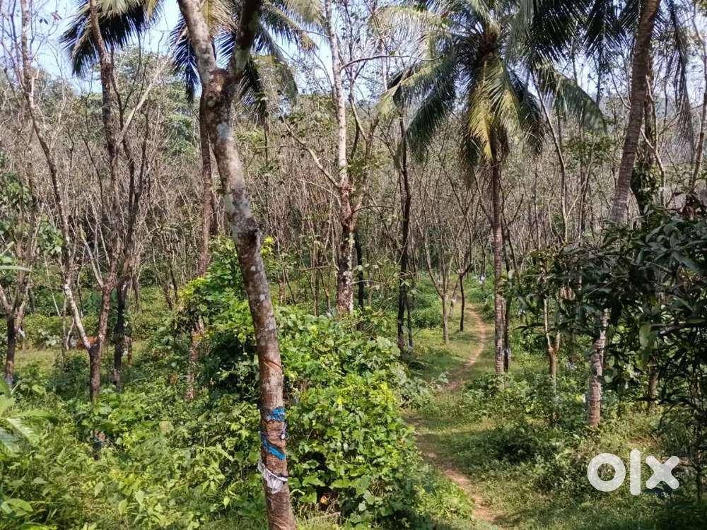 Agriculture Land for sale near hathyadka village arasinamakki
