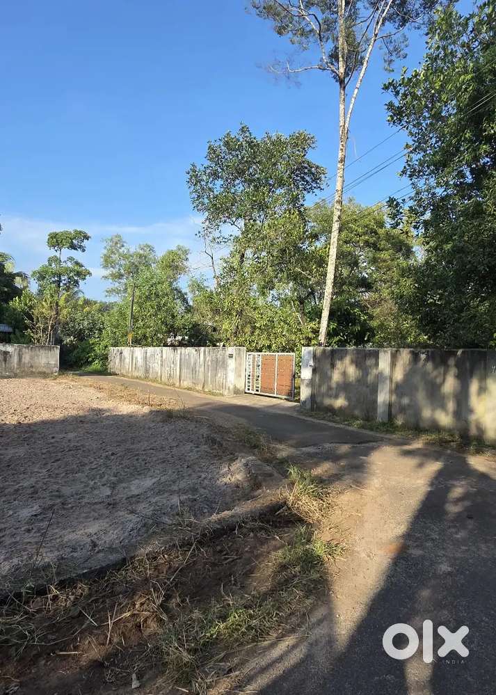 10 Cents of Land. 50 Metres Off NH66