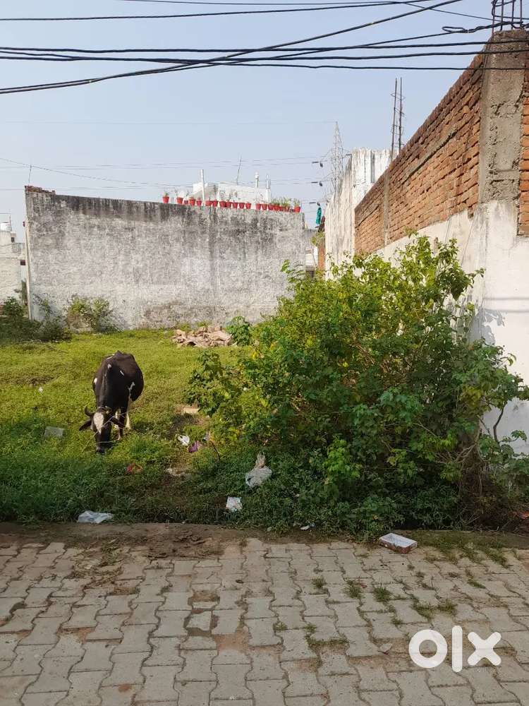 Selling 1000sq.ft plot in govind nagar hansari