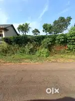 Roadside plot with new pattayam near Calvary Mount Idukki