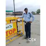 Toll plza job