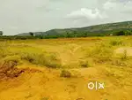 AGRICULTURAL LAND-14KM FROM MADURAI JN, 4KM FROM MDU-DINDIGUL HIGHWAY