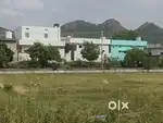 Gnt to Nrt Road ameenabad crda plots sale
