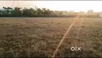 Selling 2 katha land