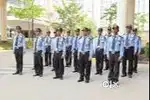 Urgent Hirring: Expert Secuirty Guard and Supervisor Requirment