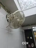 Wall mounting fan and geyser
