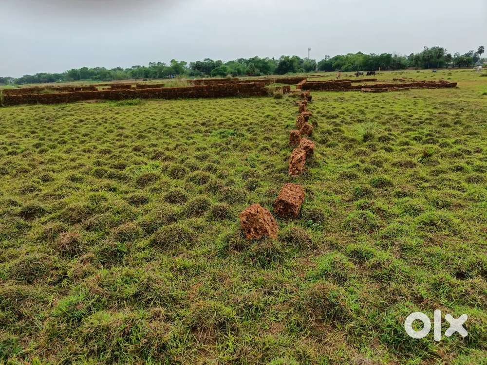 Plot of owner for immediate sale