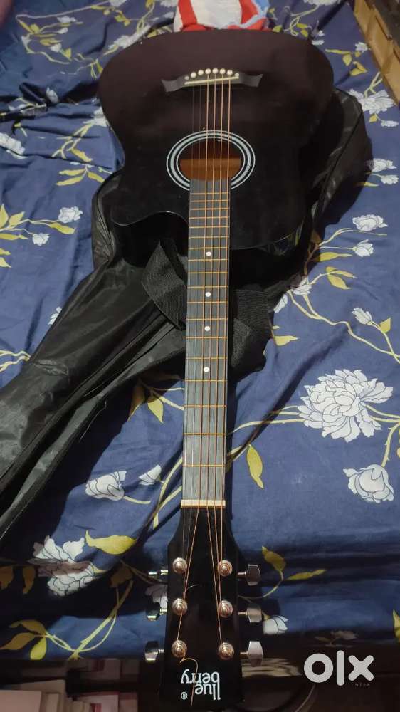 Blueberry guitar