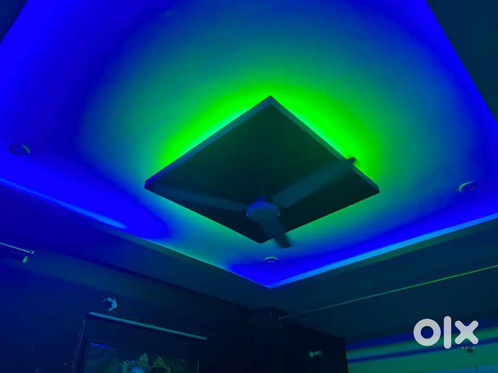 Need A FlatMate any Students or Professional