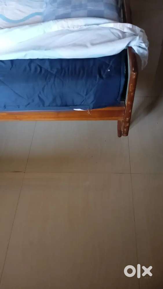 Single Bed Saguan frame