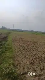 Freehold 64 Kattha Land  available for sale on Rajarhat - Diara Road
