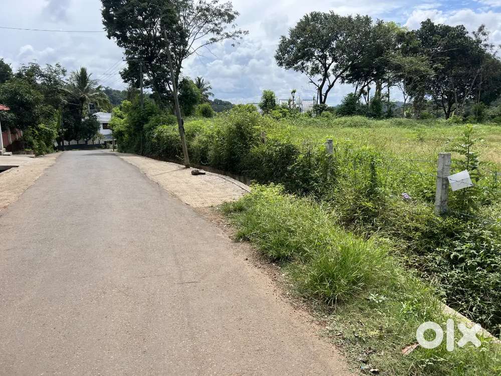 40 CENT COMMERCIAL/ HOUSE PLOT FOR SALE IN KARTIKULAM.
