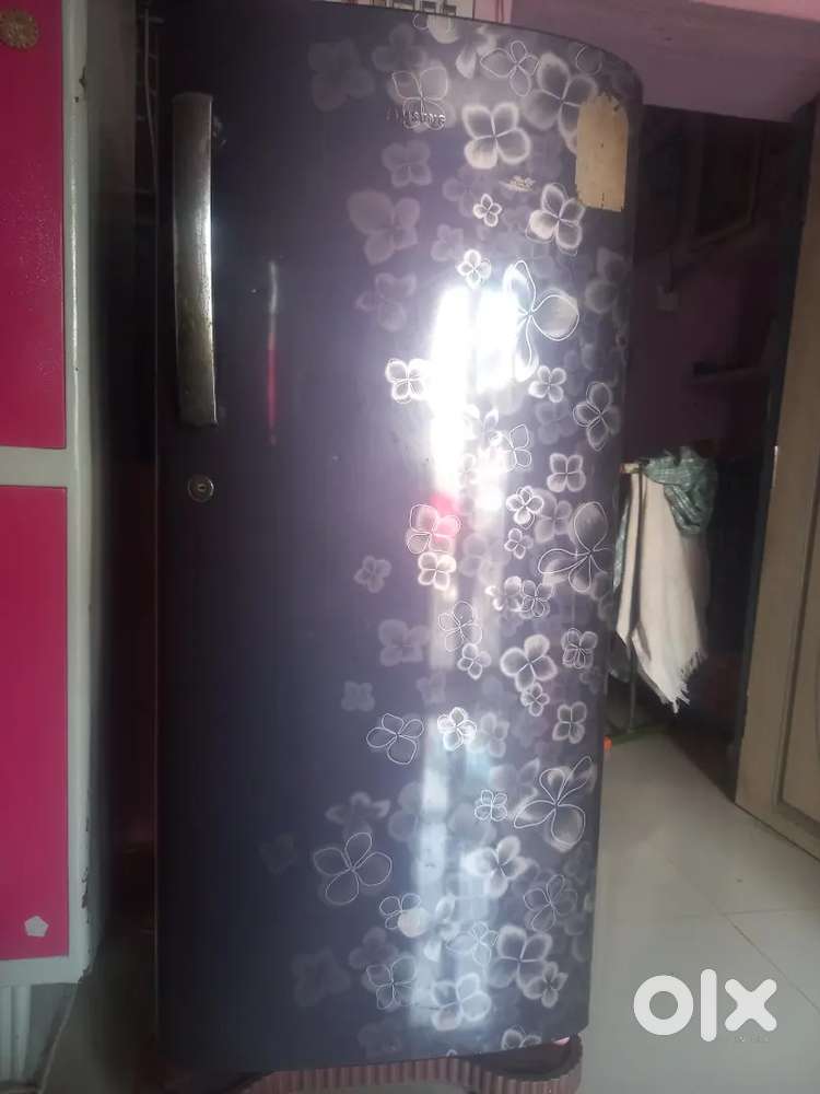 Samsung company fridge
