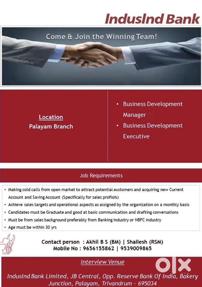 Business Development Manager and Executive
